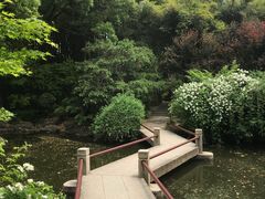 -汇龙潭
