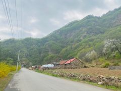 -大连天门山国家森林公园