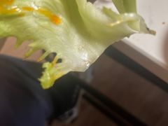 -一品潮牛(仪陇店)