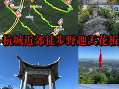 -午潮山国家森林公园