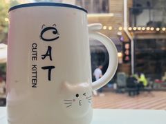 -有猫主题·治愈系猫咖(曾厝垵店)
