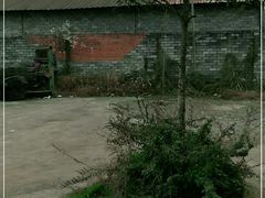 -都江堰玫瑰花溪谷