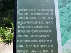 -白水寺森林公园