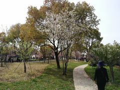 -昆山城市生态森林公园