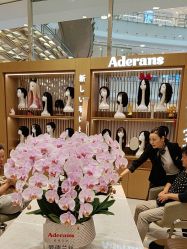 -爱德兰丝Aderans