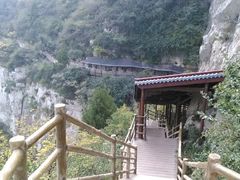 -佛慧山