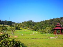 -棒棰岛宾馆景区