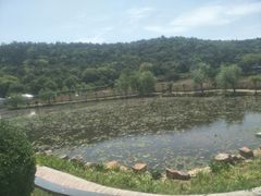 -龙寺生态园