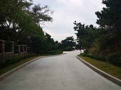 -小麦岛公园