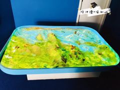 -哈沐德国际托育早教(保利城旗舰店)