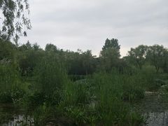 -新江湾城公园