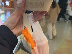 -极拉图·现制冰淇淋(大卫城店)