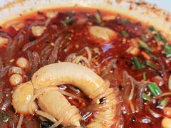 -钟方模白家肥肠粉(春熙店)