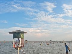 -碧海金沙