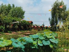 -同銮特种养殖场·龙虾垂钓