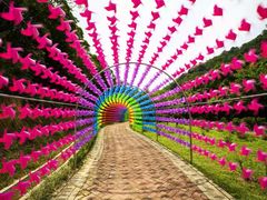 -广州白江湖森林公园