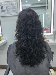 -镁连社·美联社