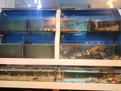 水产区-原龙海鲜大排档(美食地标店)