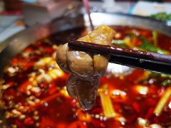 -蛙一刀·麻椒鱼火锅(金仙桥店)