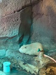 -酷嗒动物文化乐园(cutezoo西溪乐天城店)