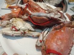 -半岛听涛蒸汽海鲜自助(K11店)