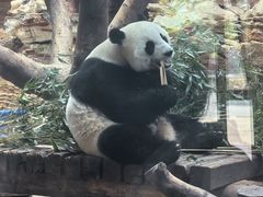 -石家庄市动物园