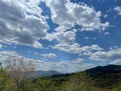 -北京西山国家森林公园