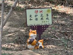 -佛慧山