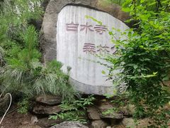 -白水寺森林公园
