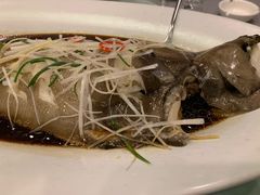 清蒸䍃鱼-金狮麟•宋宴•宋文化地标餐厅(晋安路店)