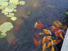 -呼兰河口湿地公园