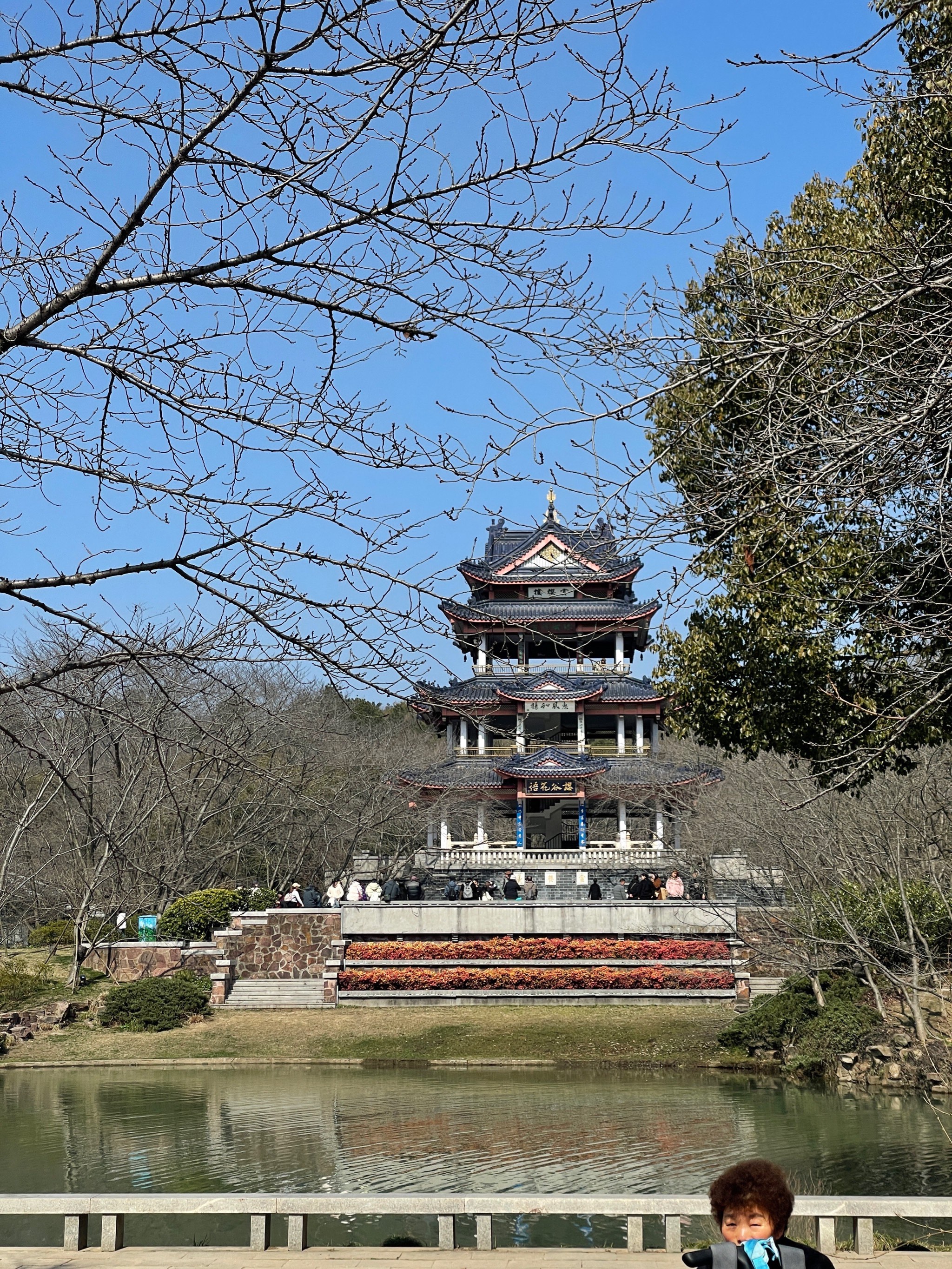 鼋头褚图片