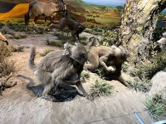 -国家自然博物馆