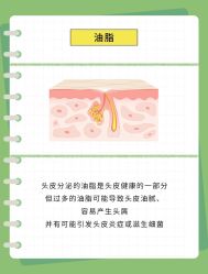 -Bollins波林丝•专研护发中心