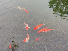 -雅达·阳羡溪山小镇中心