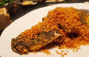 Breeze Bay Tiger Grouper Fish Bones
