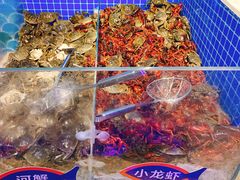 -乔哥铭洋海鲜自助(皇城恒隆广场店)