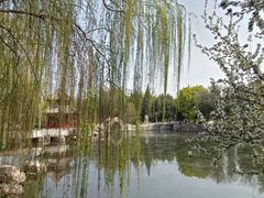 -莲池书院博物馆