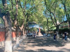 -北京国子监胡同