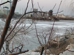 -迎泽公园