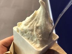 -野人先生现做冰淇淋(西安赛格店)