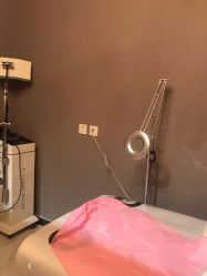 -三只熊皮肤管理中心