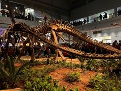 -自贡恐龙博物馆