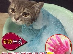 -BHG Market Place(水游城店)