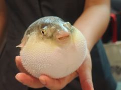 -永安鱼庄·镇江菜(东吴路店)