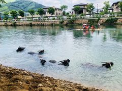 -杭州双溪漂流景区