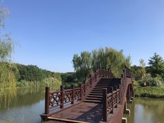 -南湖湿地公园