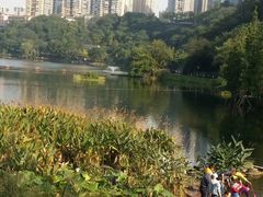 -重庆彩云湖湿地公园