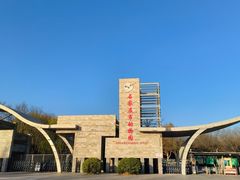 -石家庄市动物园