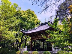 -汇龙潭